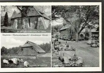 Undeloh Naturschutzpark, Lüneburger Heide.