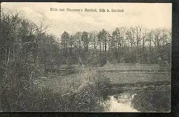 Silk bei Reinbek. Blick aus Niemann´s Gasthof.