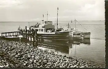 Hallig. Hooge. Touristenflotte an der Backenswarf..