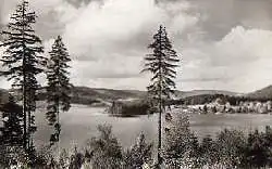 Schluchsee/südl. Hochschwarzwald