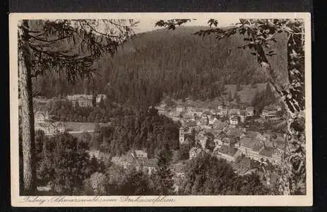 Triberg Vom Drekaiserfelsen.