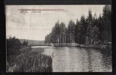 Königsfeld. Waldsee.