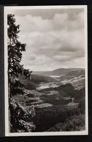 Feldberg. Blick ins Bärental und Ttitisee.