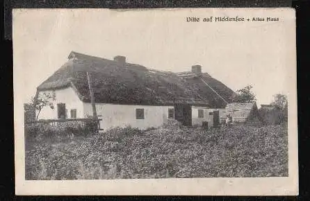 Witte auf Hiddensee. Altes Haus