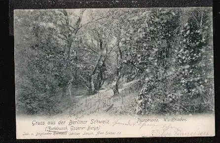 Zwiebusch, Gosener Berge. Promenade. Waldfrieden