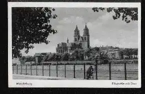 Magdeburg. Elbpartie mit Dom