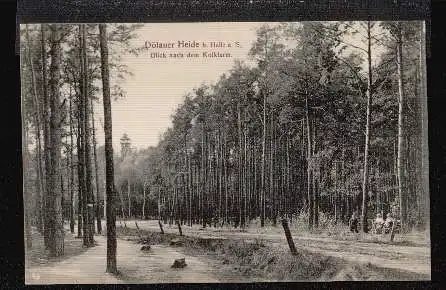 Dölauer Heide. Blick nach Kolkturm