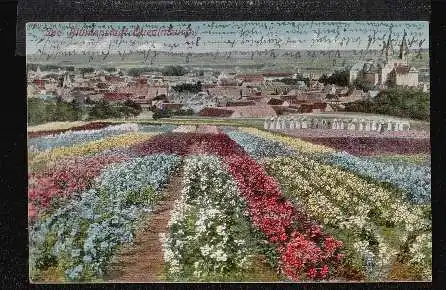 Quedlinburg am Harz. Die Blumenstadt