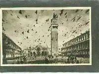 Venedig. S. Marco. Piccioni