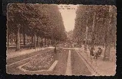 Vichy. Le Parc. Une Allee.