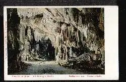 Adelsberger Grotte. Ferdinands Grotte.