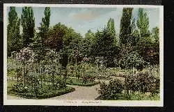 Sangerhausen. Rosarium.