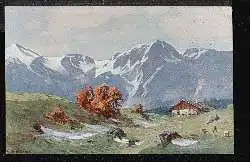 Berglandschaft