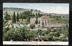 Jerusalem. Mont des Oliviers avec la Basilique.