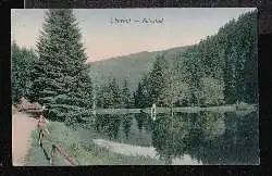 Oberhof. Silberteich.