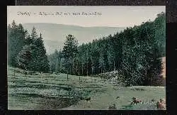 Oberhof. Waldpartie. Blick vom neuen Domöne Hotel.