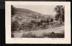 Sonnenberg. Thür. Blick vom Bromberg.