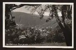 Bad Blankenburg. Thüringerwald