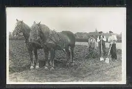 Landwirtschaft. Fot.