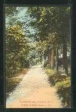 Ort unbekannt. Stadtpark früher Friedhof