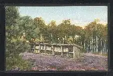 Binnenstand, Lüneburger heide.