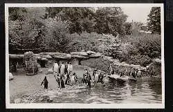 Hamburg. Stellingen. Carl Hagenbeck&#039;s Tierpark.