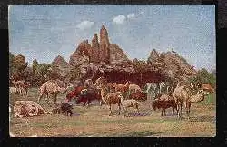 Hamburg. Stellingen. Carl Hagenbeck's Tierpark.