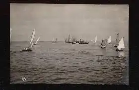 Regatta