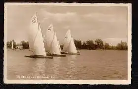 Regatta auf dem Steinhunder Meer