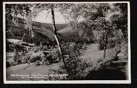 Bad Schwarzbach. Blick aus d. Birkenwäldchen