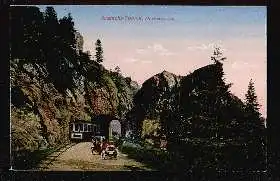 Hochvogesen. Schlucht Tunnel