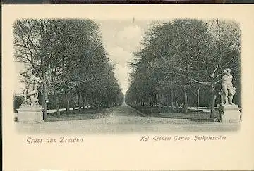 Dresden. Kgl. Grosser Garten. Herkulesallee.