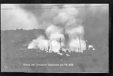 Dresden. Brand der Dresdener Vogelwiese am 02.08.1909.