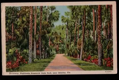 USA. Fla. Driveway. Highlands Hammock State Park