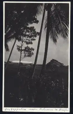 Brasilien. Recife. Zeppelin unter Palmen