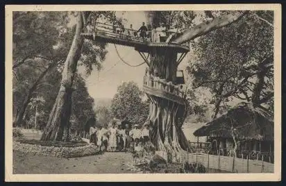 Philippinen. Abergläubisch verehrter Baum in Langangilang. Abra