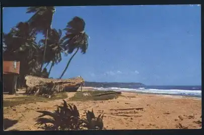 Trinidad. Mayaro Beach.