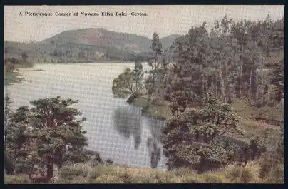Ceylon. Nuwara Eliya Lake.