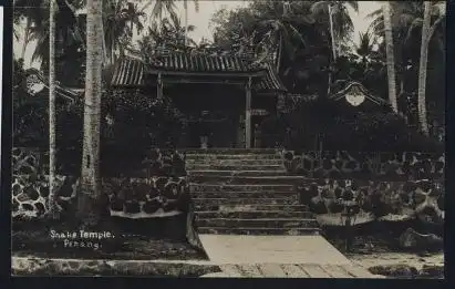 Malaysia. Penang. Shake Temple.