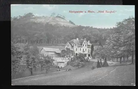 Königswinter. a. Rhein &quot;Hotel Burghof&quot;