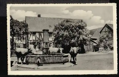 Rehe. Oberwesterwald. Idyll am Dorfbrunnen