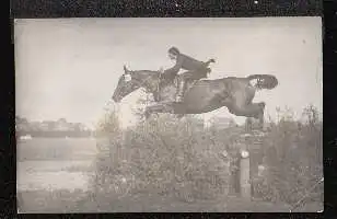 Pferd. Foto. Handschriftliche Eintragung: Turnier Rotherbaum.