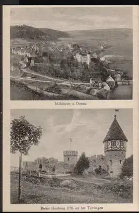 Mühlheim. a. Donau. Ruine Honburg bei Tuttlingen