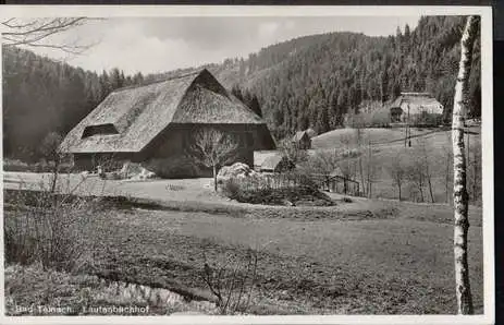 Bad Teinach. Lautenbachhof