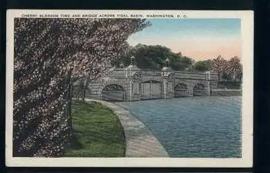 USA. Washington DC. Cherry bloosom time and Bridge