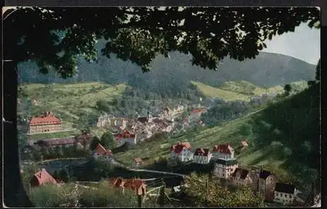 Wildbad. Blick von Norden