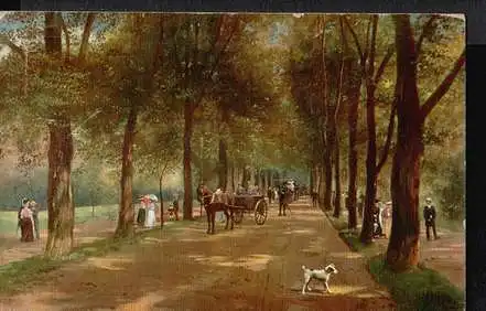 Baden Baden. Lichtenthaler Allee