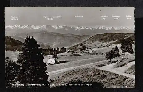 Todtnauberg. Blick zu den Schweizer Alpen