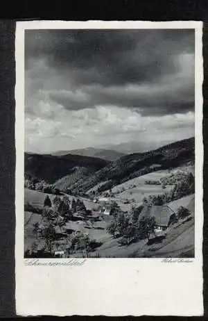 St. Blasien. Schwarzwaldtal