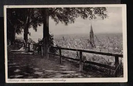 Freiburg. Panorama vom Schlossberg